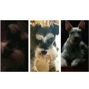 Meet your Posher, Tammy